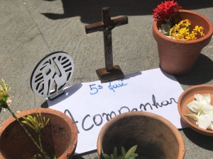 08893_08893_3_0761642443457749875_7941459590009470432