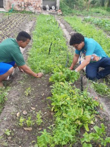 WhatsApp Image 2020-01-03 at 11.09.41 (1)